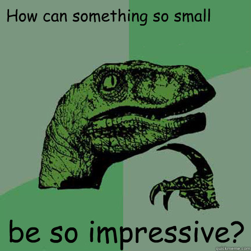 How can something so small be so impressive? - How can something so small be so impressive?  Philosoraptor