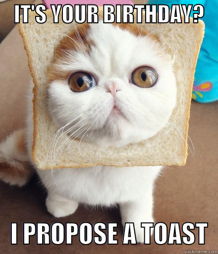    IT'S YOUR BIRTHDAY?       I PROPOSE A TOAST  Misc