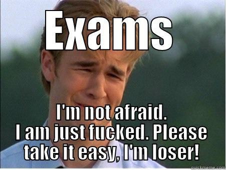 EXAMS I'M NOT AFRAID. I AM JUST FUCKED. PLEASE TAKE IT EASY, I'M LOSER! 1990s Problems