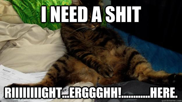I need a shit riiiiiiiight...erggghh!............here. - I need a shit riiiiiiiight...erggghh!............here.  Scumbag Puss