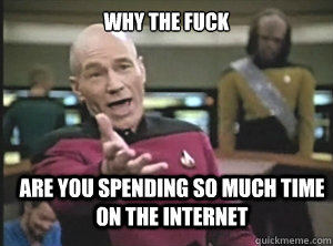 why the fuck are you spending so much time on the internet - why the fuck are you spending so much time on the internet  Annoyed Picard