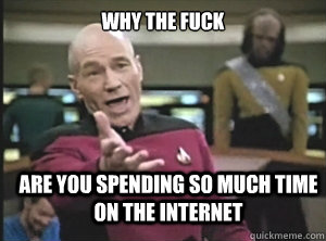 why the fuck are you spending so much time on the internet  Annoyed Picard
