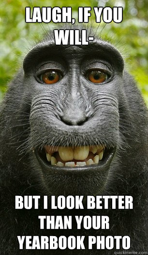 Laugh, if you will- But I look better than your yearbook photo  Mindful Macaque