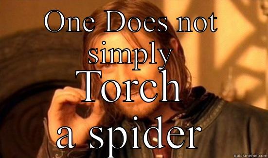 ONE DOES NOT SIMPLY TORCH A SPIDER Boromir