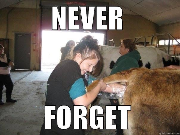 NEVER FORGET Misc