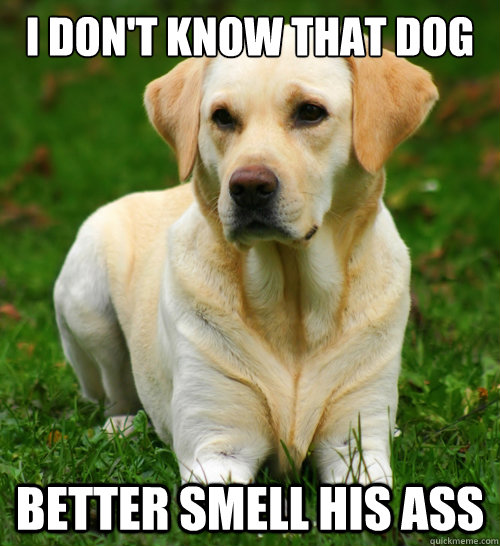 I don't know that dog Better smell his ass  Dog Logic