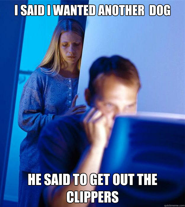 I said I wanted another  dog he said to get out the clippers   Redditors Wife