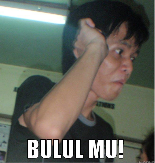  BULUL MU! Misc