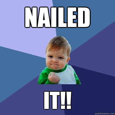 Nailed it!! - Nailed it!!  Success Kid