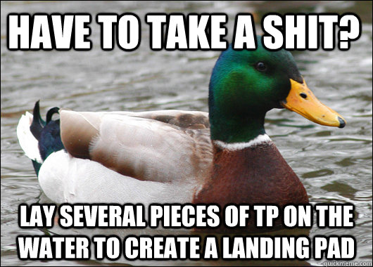 Have to take a shit? Lay several pieces of tp on the water to create a landing pad  Actual Advice Mallard