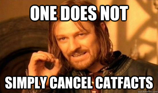 One Does Not SIMPLY Cancel CatFacts  Boromir