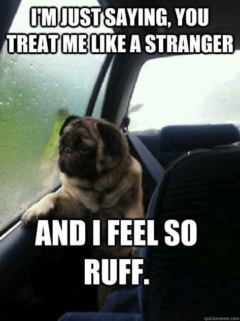 I'm just saying, you treat me like a stranger and I feel so ruff.   Introspective Pug