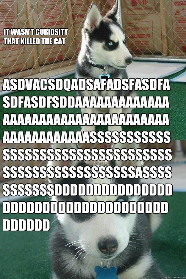 It wasn't curiosity 
that killed the cat ASDvacsdqadsafadsfasdfasdfasdfsddaaaaaaaaaaaaaaaaaaaaaaaaaaaaaaaaaaaaaaaaaaaaaaaaSSSSSSSSSSSSSSSSSSSSSSSSSSSSSSSSSSSSSSSSSSSSSSSSSSSSASSSSSSSSSSSdddddddddddddddddddddddddddddddddddddddddd  Insanity puppy