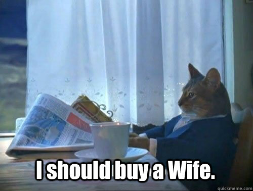 I should buy a Wife.  Fancy Cat