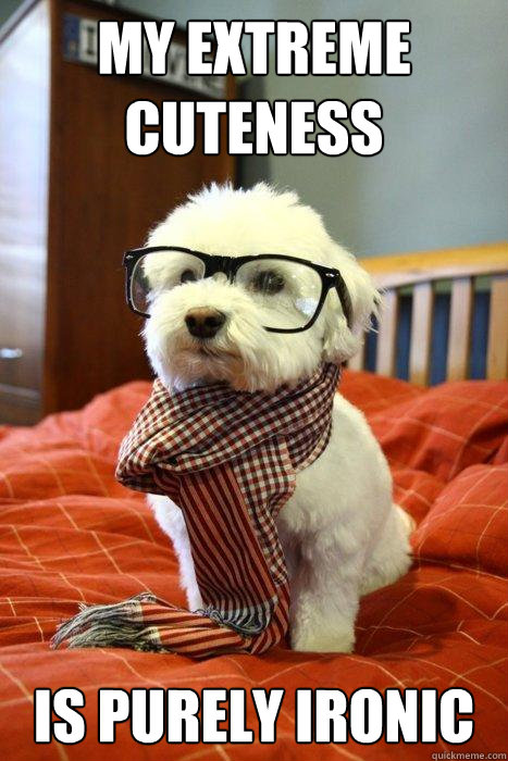 my extreme cuteness is purely ironic - my extreme cuteness is purely ironic  Hipster Dog