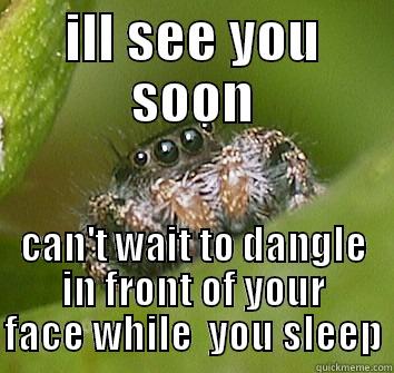 ILL SEE YOU SOON CAN'T WAIT TO DANGLE IN FRONT OF YOUR FACE WHILE  YOU SLEEP Misunderstood Spider