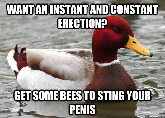 Want an instant and constant erection? Get some bees to sting your penis  Malicious Advice Mallard