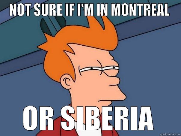 NOT SURE IF I'M IN MONTREAL OR SIBERIA Futurama Fry
