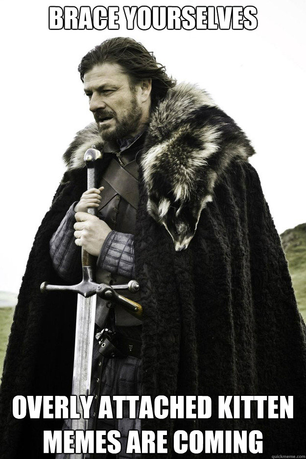 BRACE YOURSELVES overly attached kitten memes are coming  Brace Yourselves Fathers Day