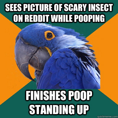 sees picture of scary insect on reddit while pooping finishes poop standing up  Paranoid Parrot