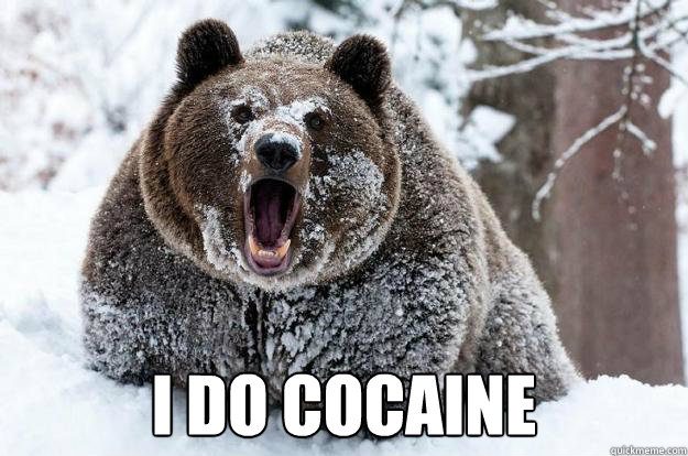  I DO COCAINE -  I DO COCAINE  Dubstep Bear