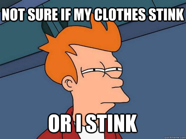 Not sure if my clothes stink or i stink  Futurama Fry