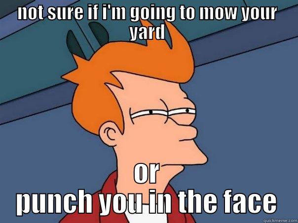 NOT SURE IF I'M GOING TO MOW YOUR YARD OR PUNCH YOU IN THE FACE Futurama Fry