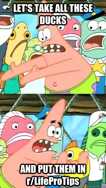 LET'S TAKE ALL THESE DUCKS AND PUT THEM IN r/LifeProTips  Push it somewhere else Patrick