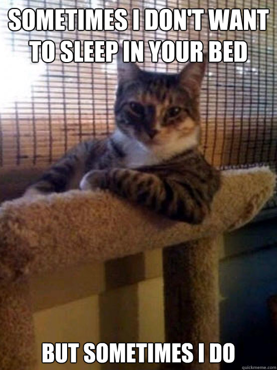 sometimes i don't want to sleep in your bed but sometimes i do  The Most Interesting Cat in the World