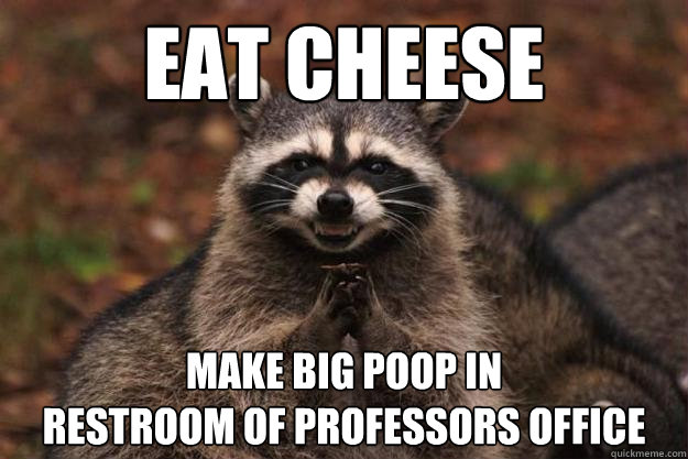 eat cheese make big poop in
restroom of professors office  Evil Plotting Raccoon