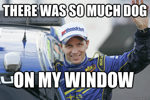 there was so much dog on my window  - there was so much dog on my window   Petter Solberg