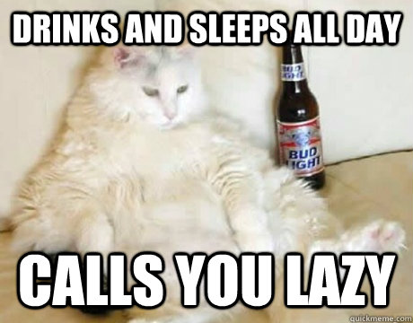 Drinks and sleeps all day calls you lazy  Fat Cat