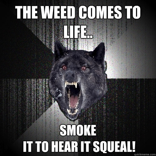 THe weed comes to life.. smoke
 it to hear it squeal!  Insanity Wolf