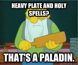 heavy plate and holy spells? That's a Paladin.  Paddlin Jasper