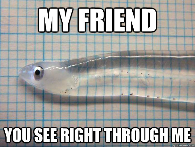 My friend you see right through me - My friend you see right through me  transparent fish