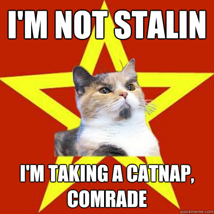 I'm not Stalin I'm taking a catnap, comrade  Lenin Cat