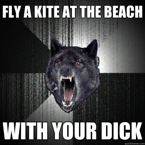 fly a kite at the beach with your dick  Insanity Wolf