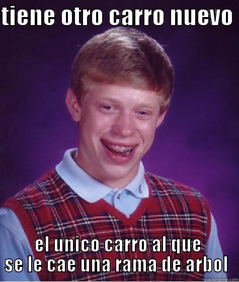 TIENE OTRO CARRO NUEVO  EL UNICO CARRO AL QUE SE LE CAE UNA RAMA DE ARBOL  Bad Luck Brian