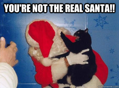 You're not the real santa!! - You're not the real santa!!  Santa