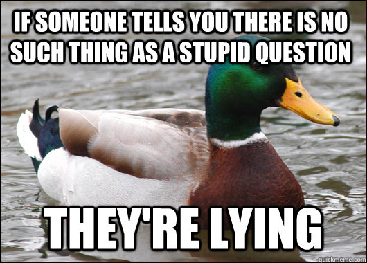 If someone tells you there is no such thing as a stupid question They're lying  Actual Advice Mallard