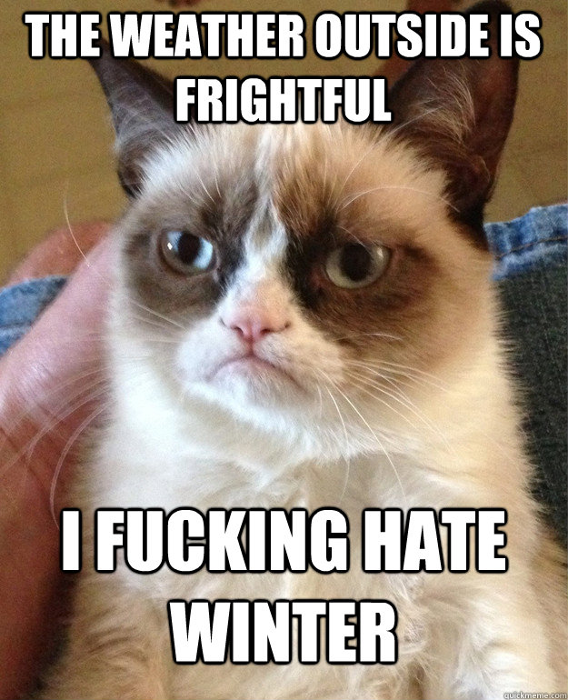 the weather outside is frightful i fucking hate winter - the weather outside is frightful i fucking hate winter  Grumpy Cat