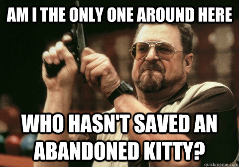 Am I the only one around here who hasn't saved an abandoned kitty? - Am I the only one around here who hasn't saved an abandoned kitty?  Am I the only one