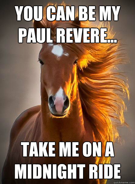You Can Be My
Paul Revere... Take Me On A
Midnight Ride  Ridiculously Photogenic Horse