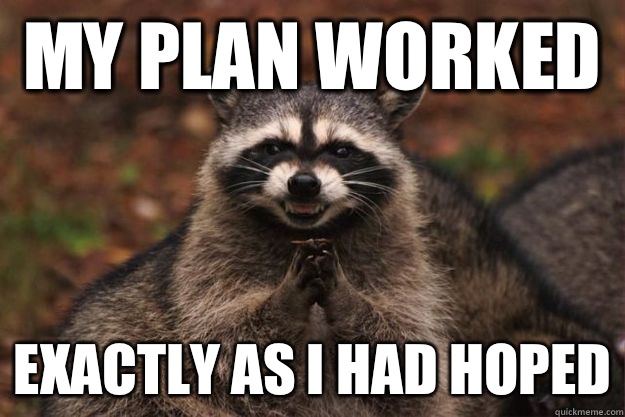 My plan worked Exactly as I had hoped  Evil Plotting Raccoon