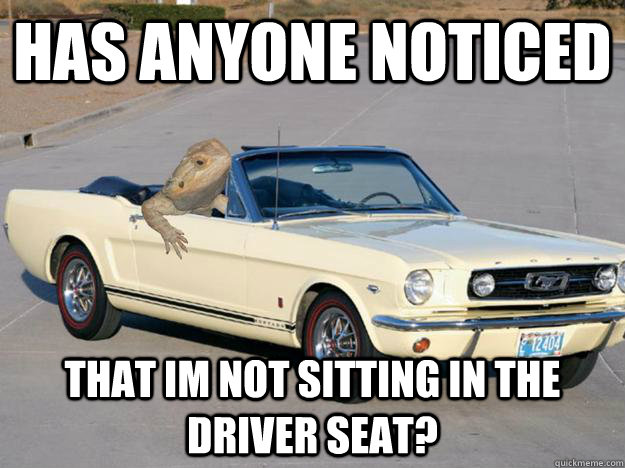 has anyone noticed that im not sitting in the driver seat?  Pickup Dragon