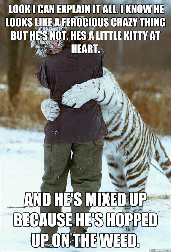  Look i can explain it all. I know he looks like a ferocious crazy thing
But he's not. Hes a little kitty at heart. And he's mixed up because he's hopped up on the weed. -  Look i can explain it all. I know he looks like a ferocious crazy thing
But he's not. Hes a little kitty at heart. And he's mixed up because he's hopped up on the weed.  Misunderstood