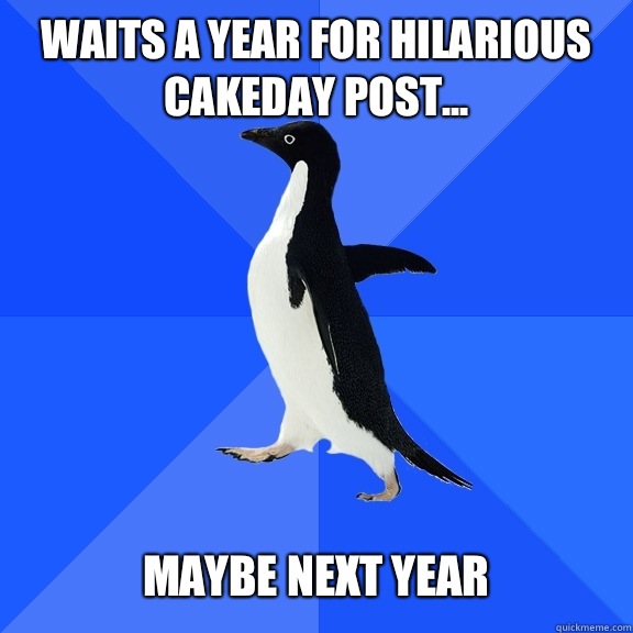 Waits a year for hilarious cakeday post...   Maybe next year   Socially Awkward Penguin