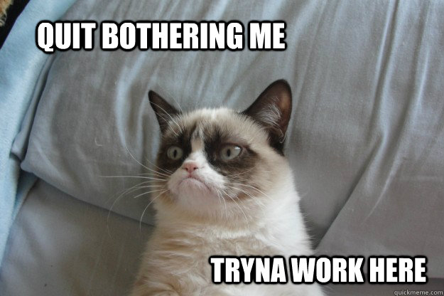 Quit bothering me tryna work here  tard grumpy cat