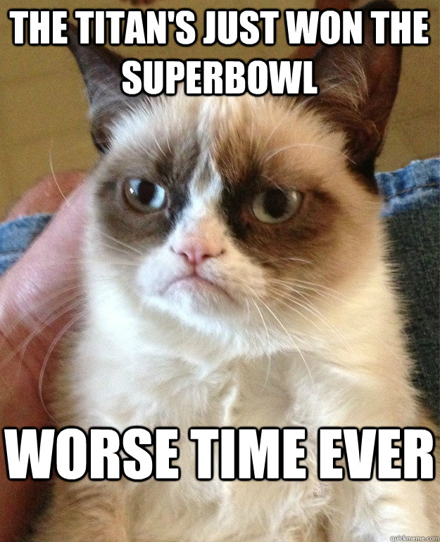 THE tITAN'S JUST WON THE SUPERBOWL WORSE TIME EVER  Grumpy Cat