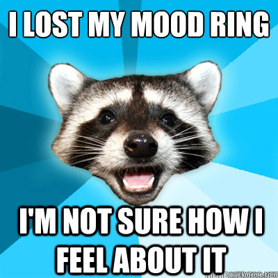 i lost my mood ring i'm not sure how i feel about it - i lost my mood ring i'm not sure how i feel about it  Lame Pun Raccoon
